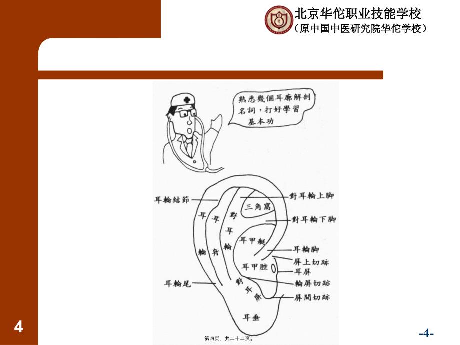 耳穴疗法1课件_第4页