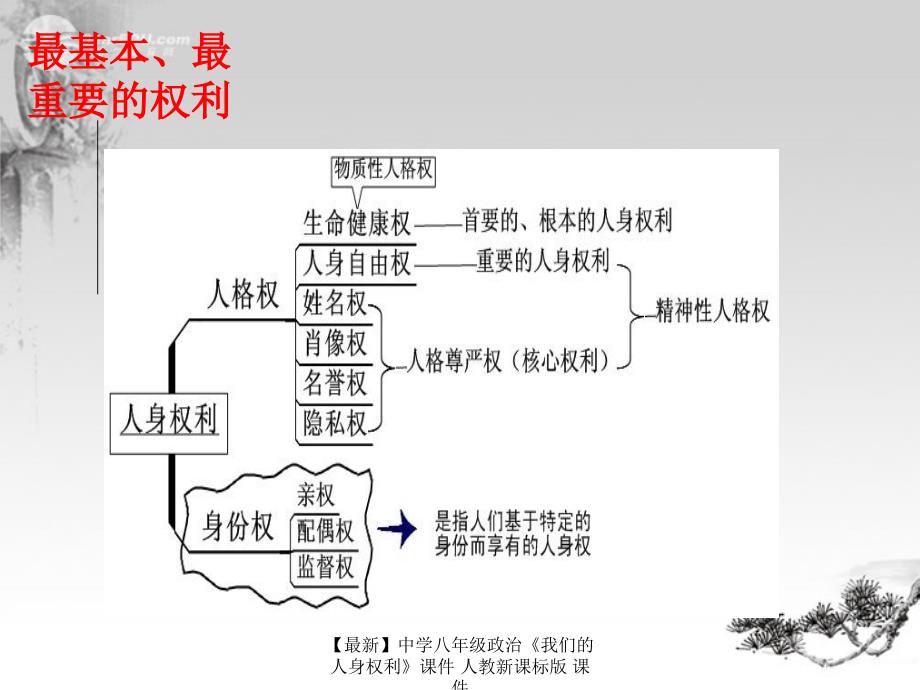 最新八年级政治我们的人身权利人教新课标版_第3页