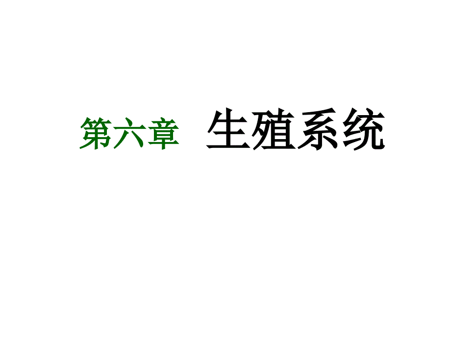 系统解剖学课件-生殖系统_第1页