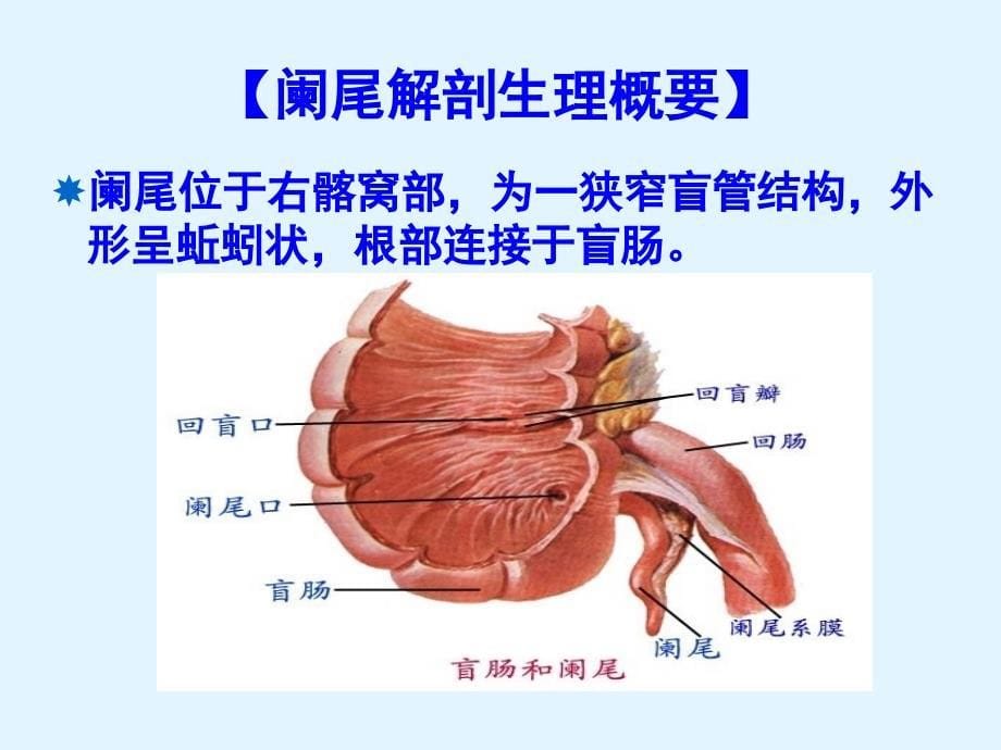 急性阑尾炎患者的护理_第5页