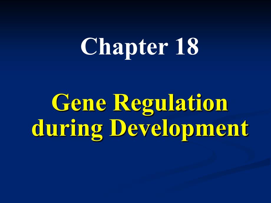 分子生物学课件：ch18 Gene Regulation during Development_第1页