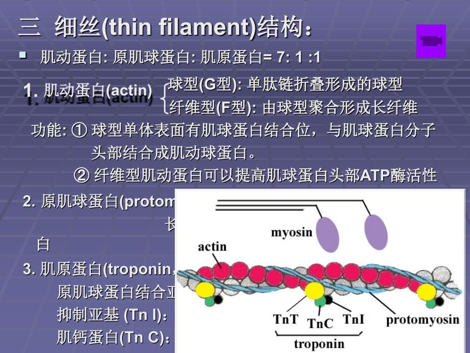 生物体内蛋白质课件_第4页