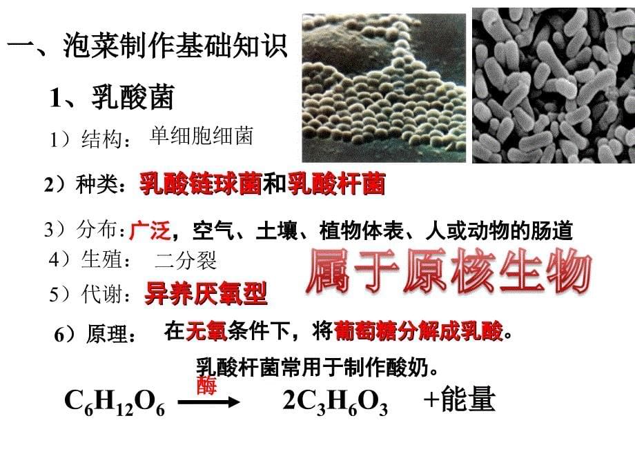 人教版高中生物制作泡菜并检测亚硝酸盐含量课堂PPT_第5页