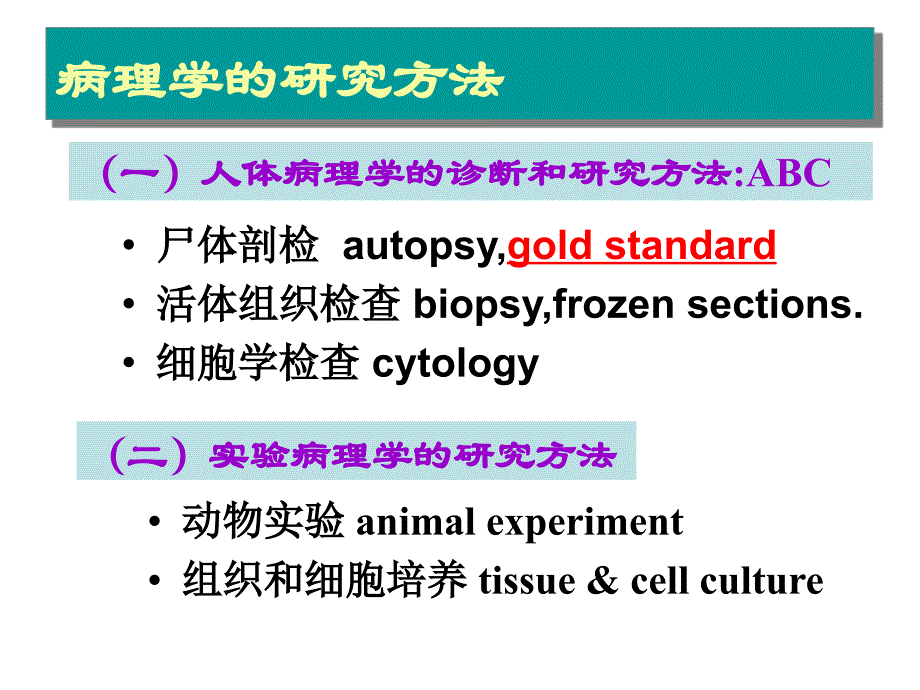 病理学技术的应用课件_第2页