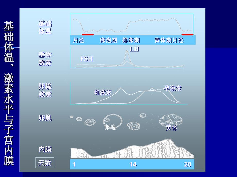 孕激素临床应用合肥_第4页