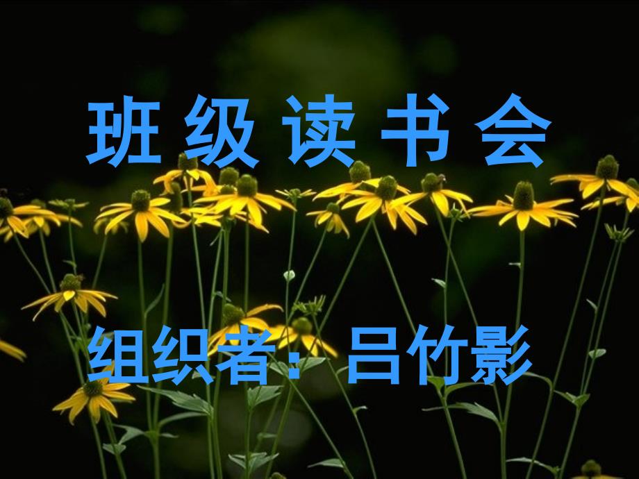 长头发狮子.PPT_第1页