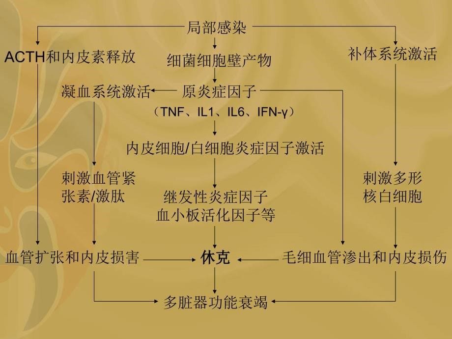 新生儿感染性休克_第5页