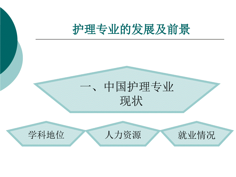 护理学的发展_第4页