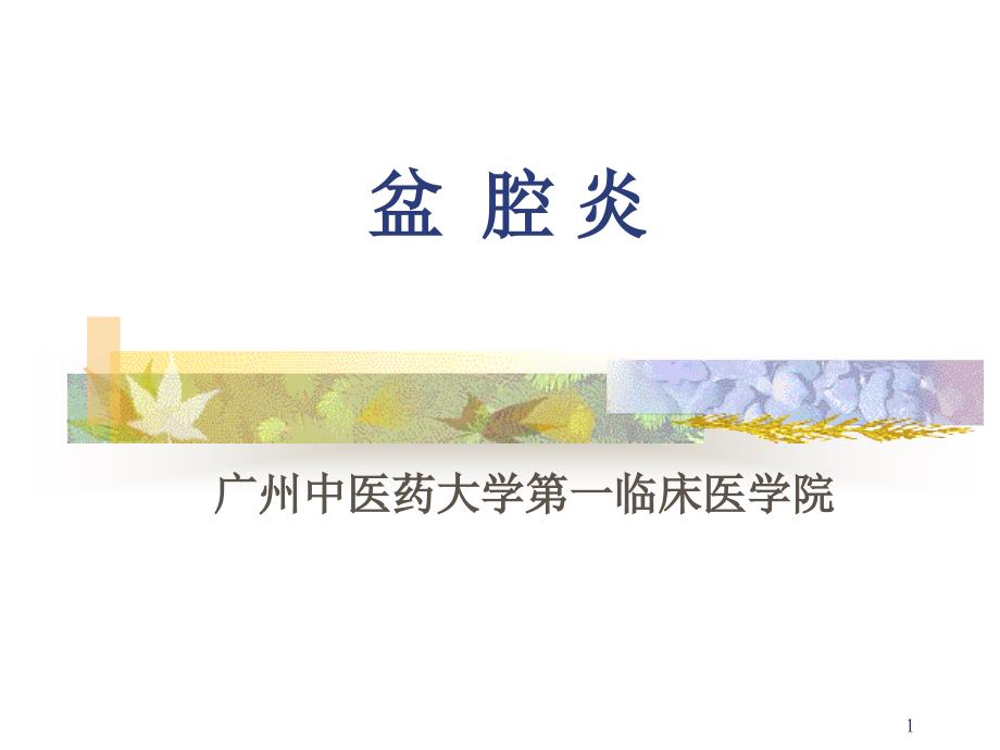 盆腔炎PPT优秀课件_第1页