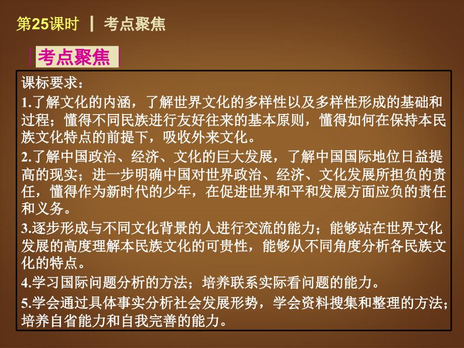 （回归课本）2014届中考政治第一轮概括《九年级全一册天涯若比邻世界舞台上的中国》（书本考点聚焦+典例拓展提升）课件教科版_第2页