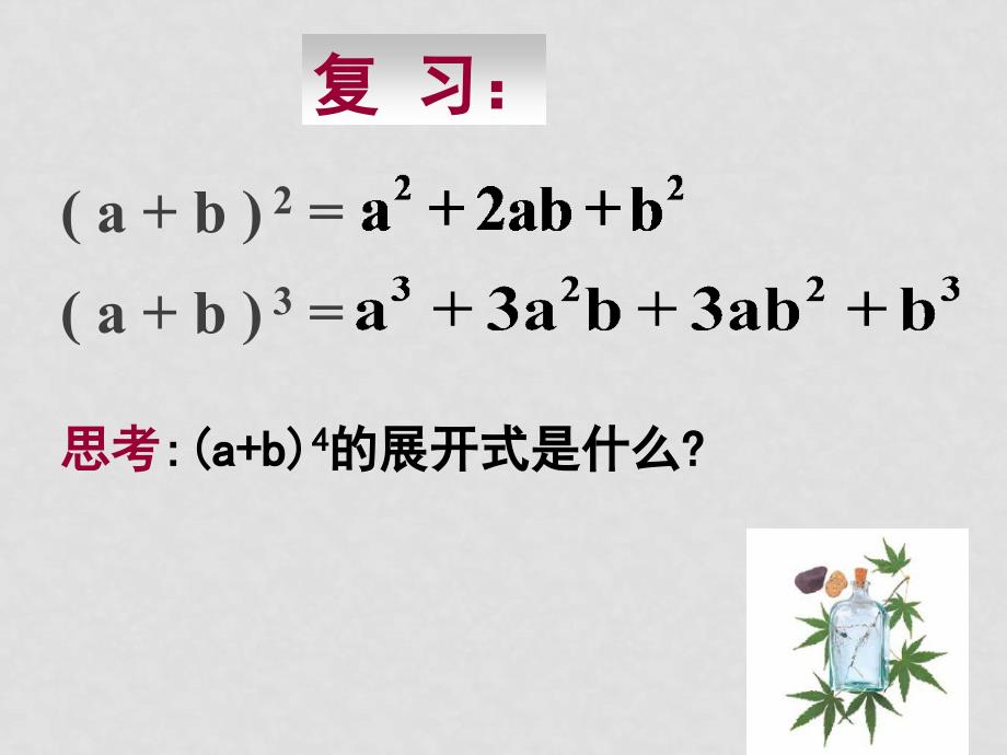 1.3.11.3.1二项式定理（一）_第2页