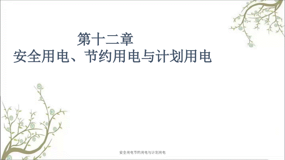 安全用电节约用电与计划用电PPT课件_第1页