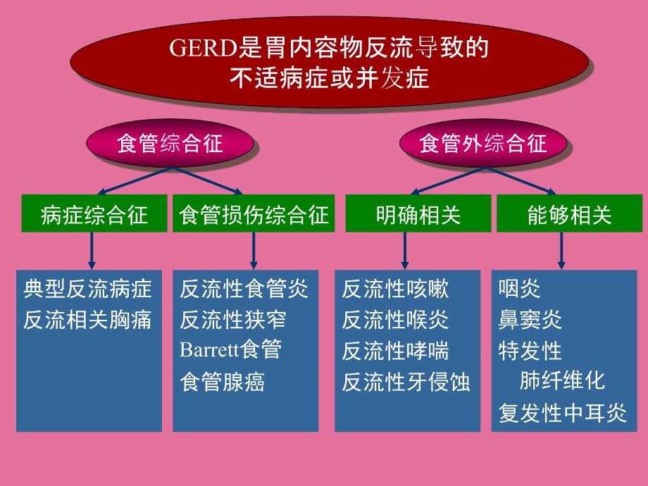 GERD治疗ppt课件_第3页