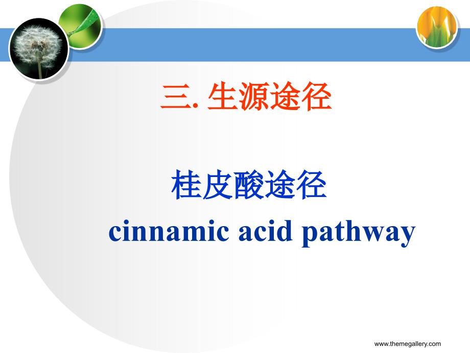 第三章苯丙素_第4页