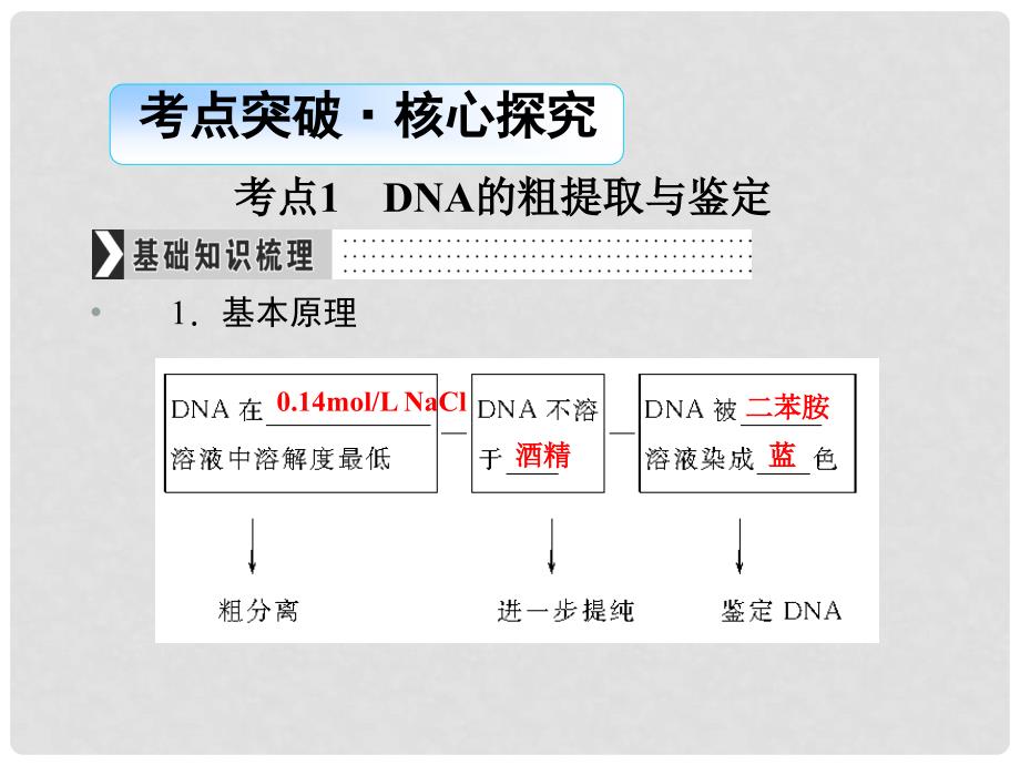 导学教程高考生物一轮复习 生物技术实践 专题四 DNA和蛋白质技术与植物有效成分的提取课件（选修1）_第3页