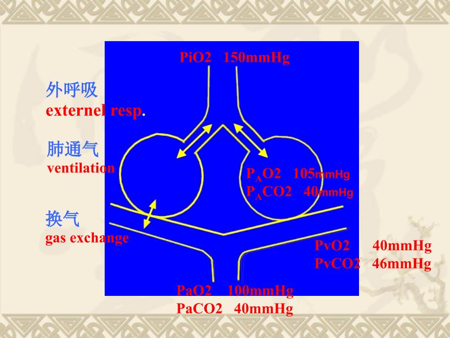 呼吸衰竭-respiratory-failure一、概述-定义：外呼吸_第2页