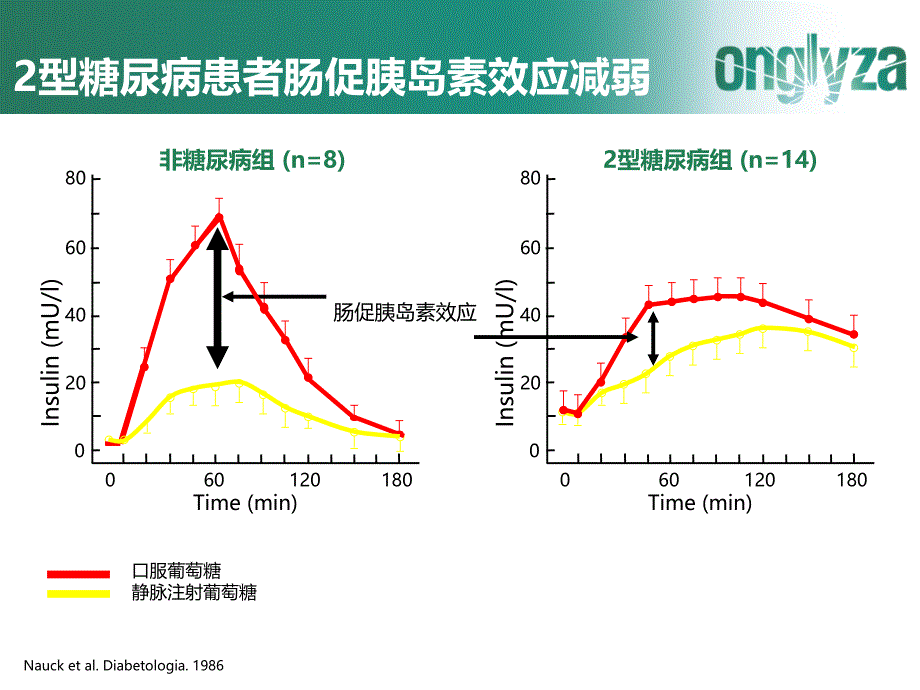 沙格列汀的作用机制_第4页