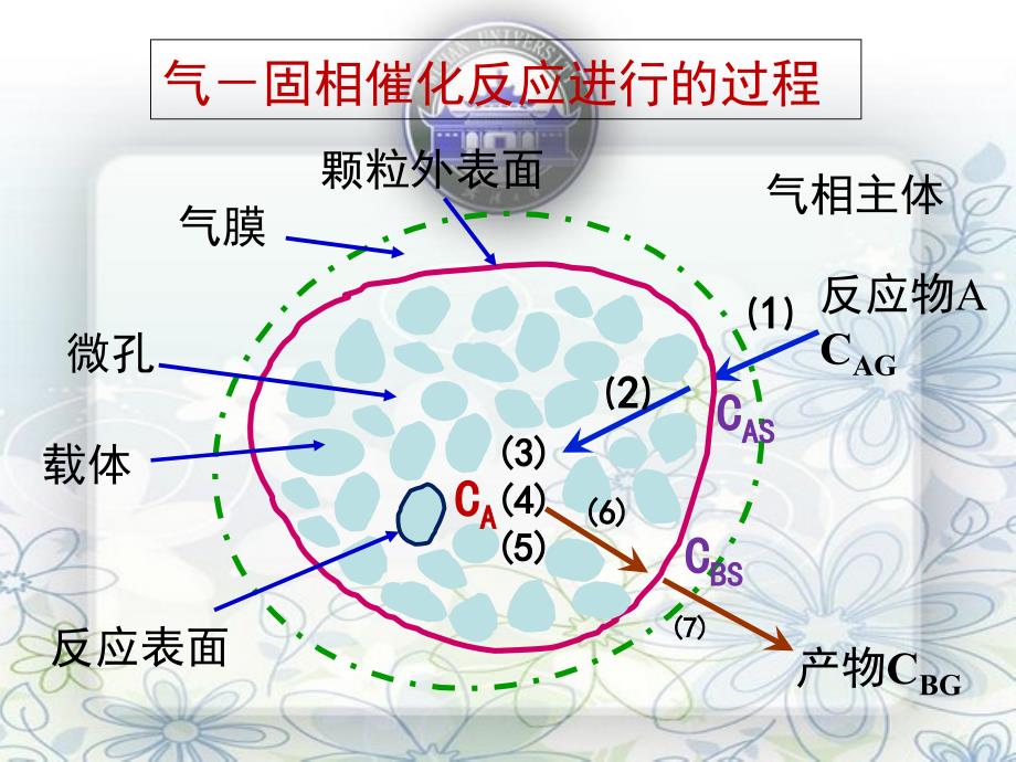 催化反应动力学及固定床反应器_第4页