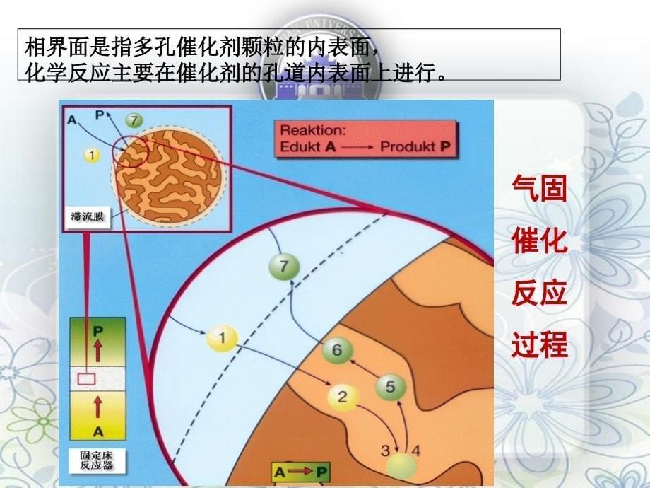 催化反应动力学及固定床反应器_第5页