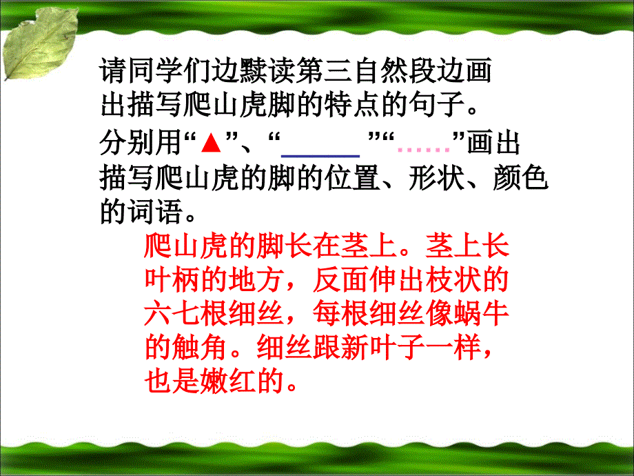 《爬山虎的脚》参考课件_第4页