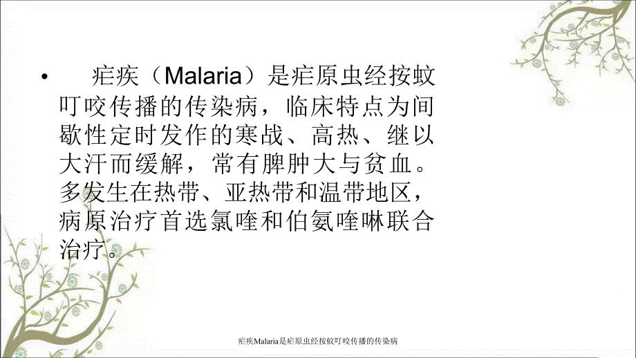 疟疾Malaria是疟原虫经按蚊叮咬传播的传染病课件_第2页