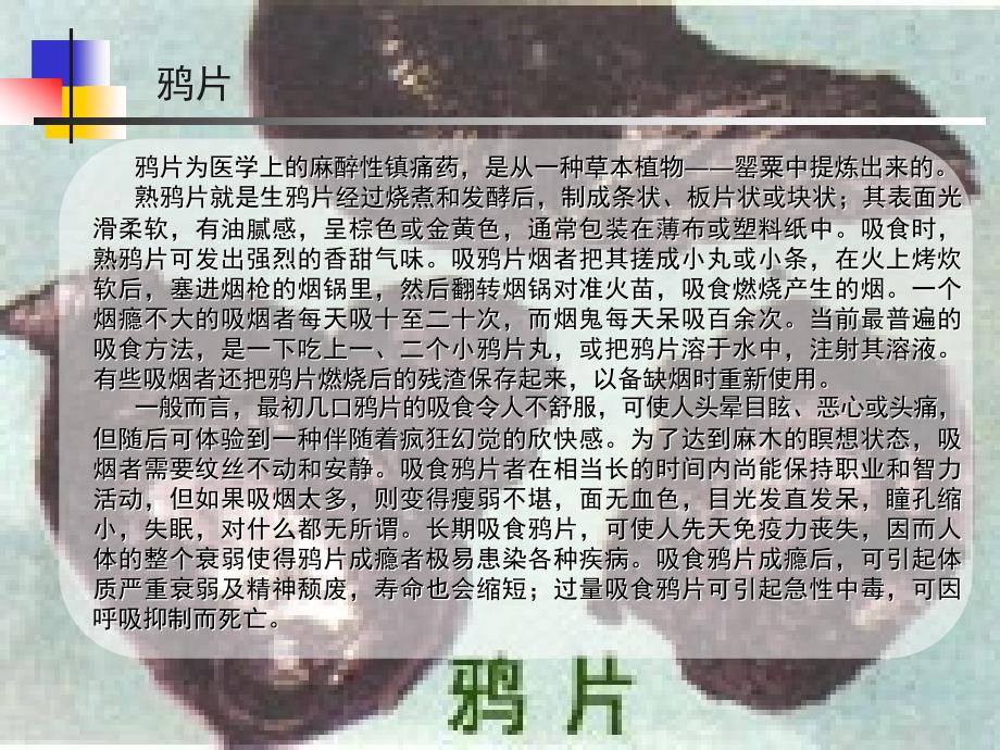 珍爱生命,远离毒品_第2页