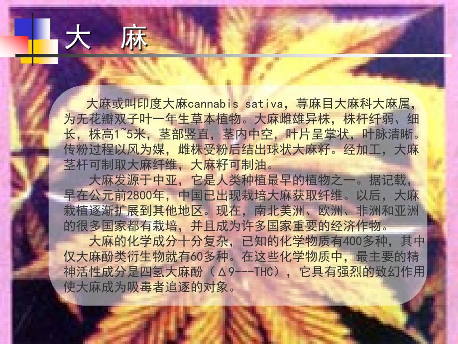 珍爱生命,远离毒品_第3页