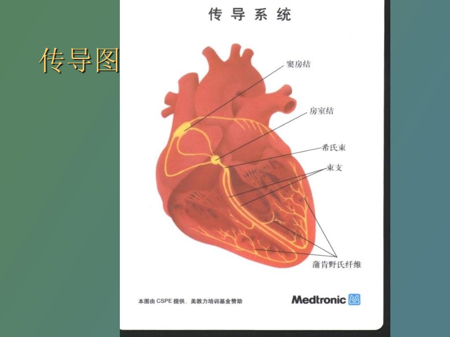 循环系统疾病心律失常_第2页