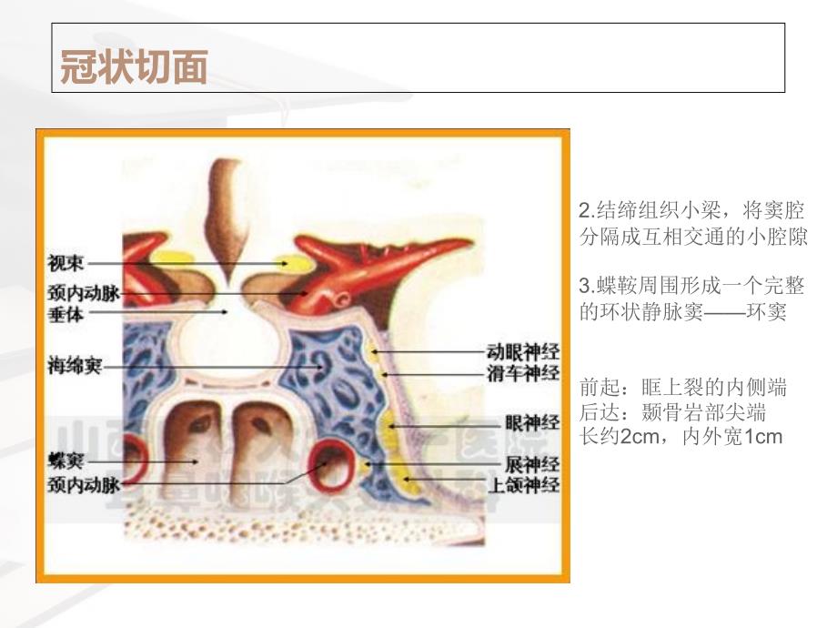 海绵窦综合征、眶上裂综合征及眶尖综合征_第4页