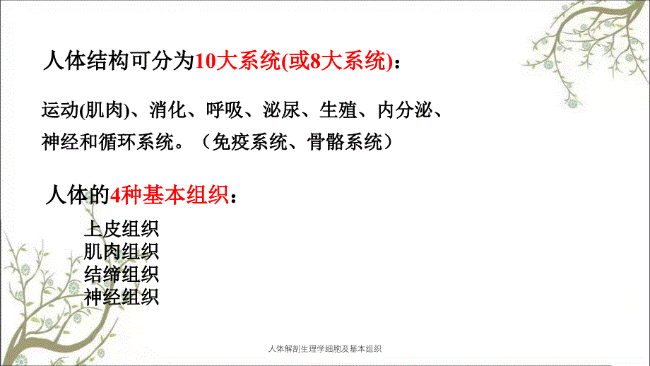 人体解剖生理学细胞及基本组织_第3页