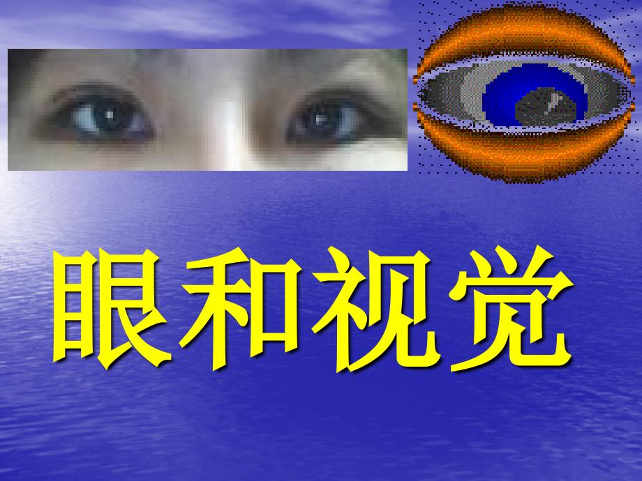 生物《眼与视觉》教学课件(济南版).ppt_第4页