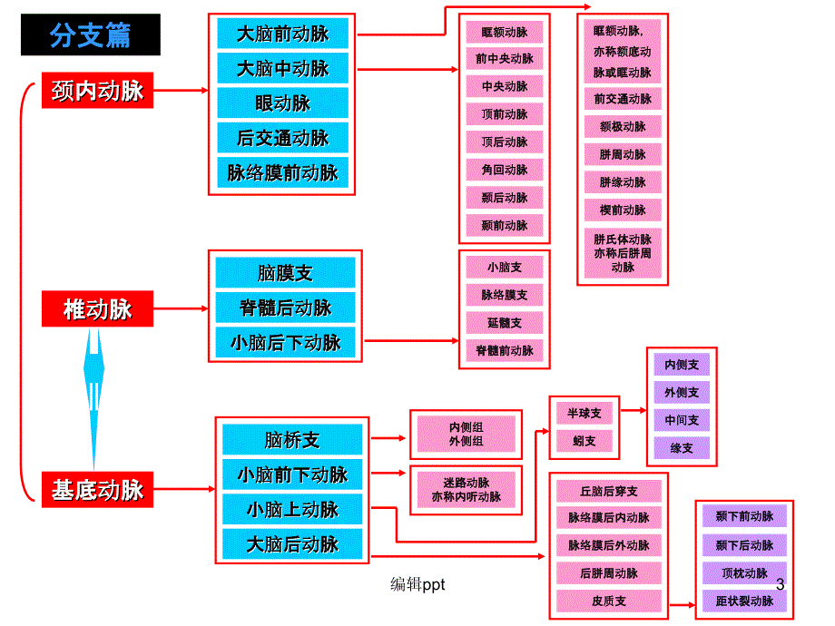 脑动脉分段分支与图解最新版本_第3页