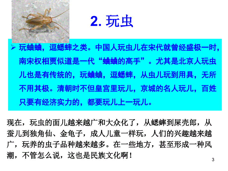 昆虫与休闲文化2新.ppt_第3页