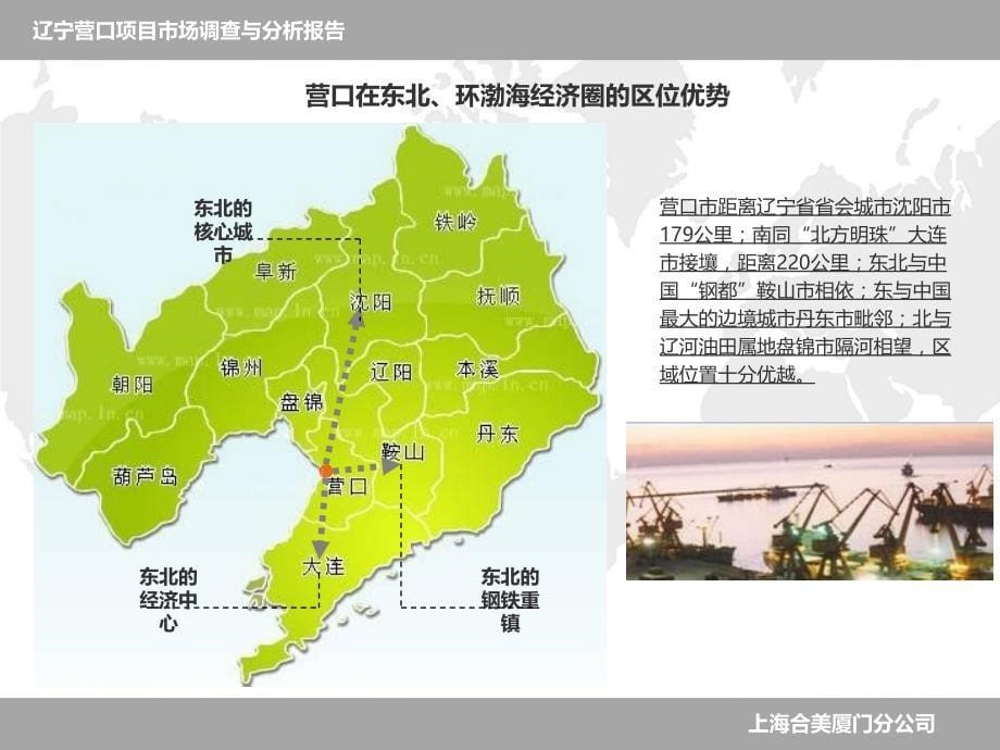 工业地产逸海国际辽宁营口鞍钢重工业基地项目市场调查与分析报告_第5页