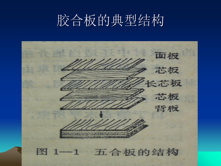 胶合板及其物理力学性能_第2页