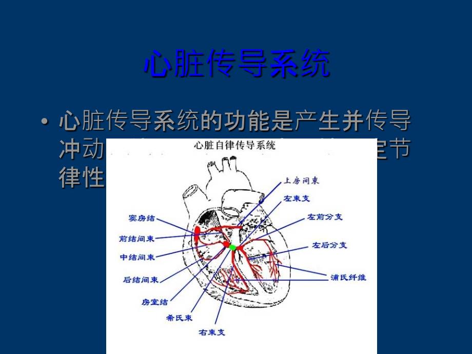 电击除颤技术PPT课件_第4页