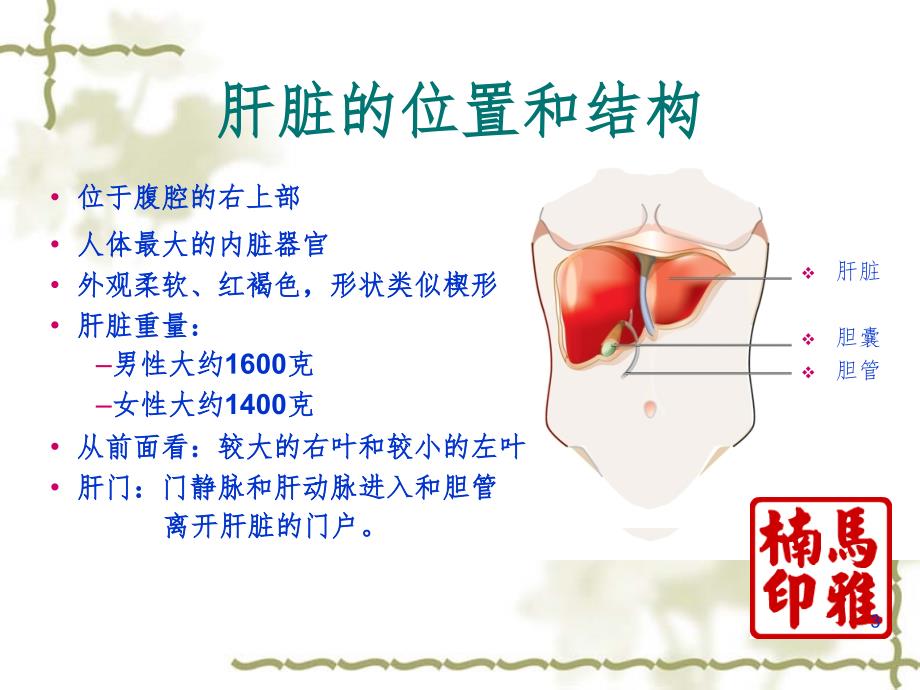 常见肝病用药指导PPT精品文档_第3页