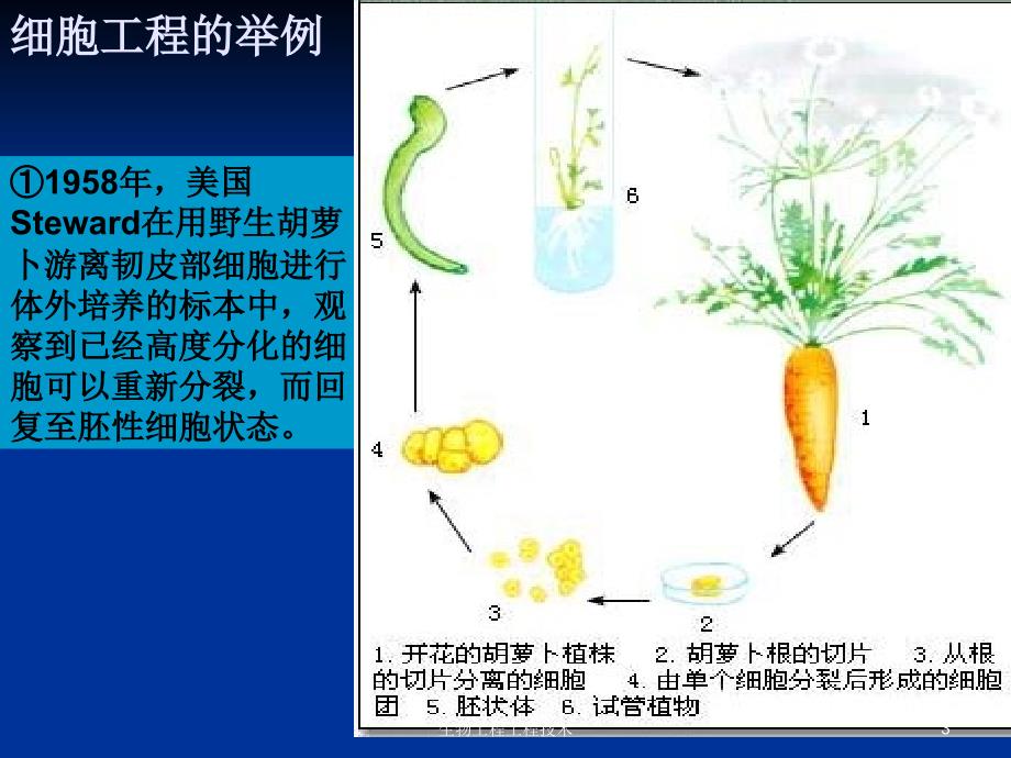 生物工程工程技术课件_第3页