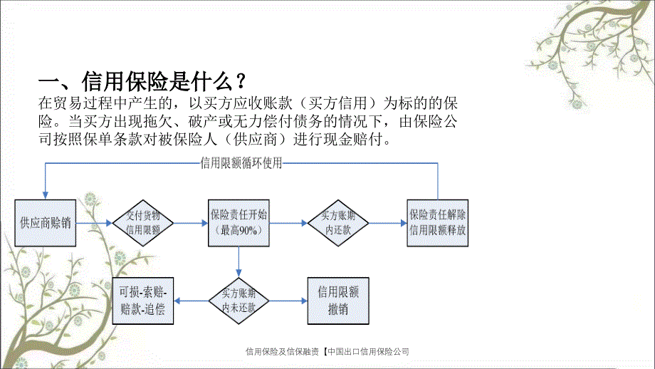 信用保险及信保融资【中国出口信用保险公司_第2页