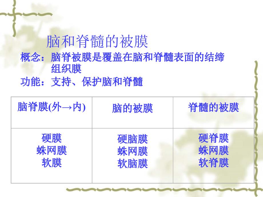 人体解剖学：脑和脊髓的被膜、血管及脑脊液循环(14食品统计)_第3页