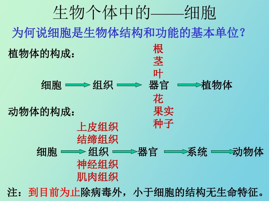 生命的结构基础_第2页