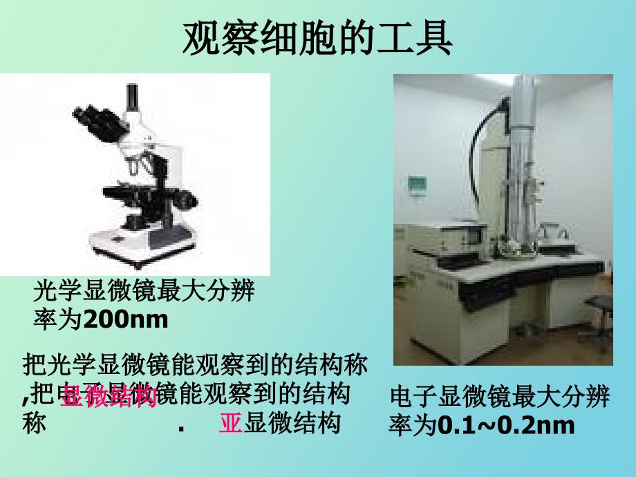 生命的结构基础_第3页