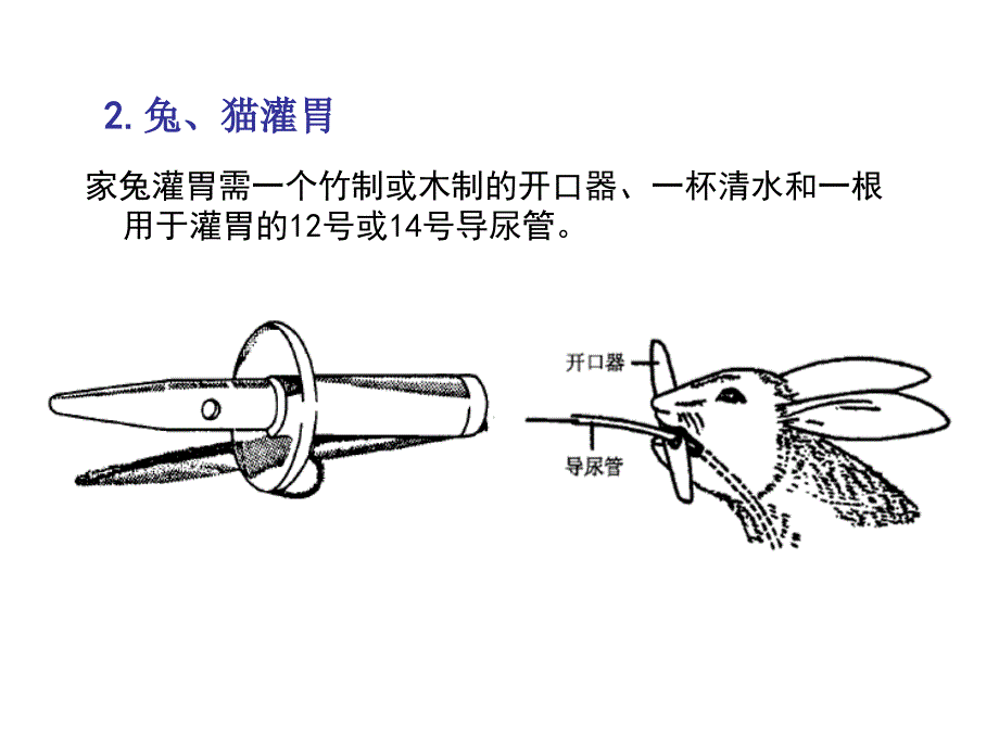 实验四五六动物的给药麻醉处死术_第4页