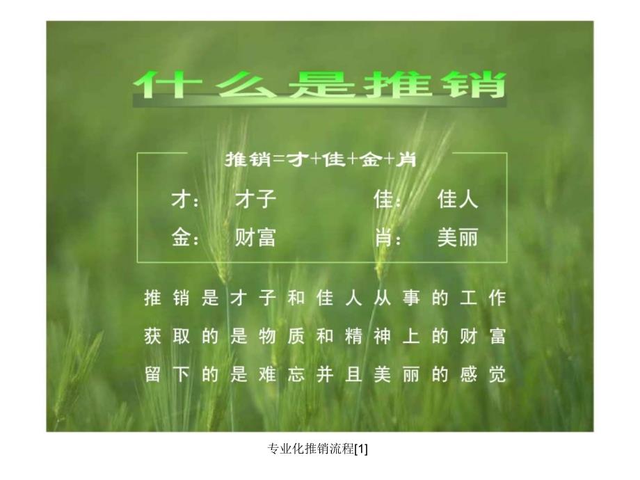 专业化推销流程1课件_第3页