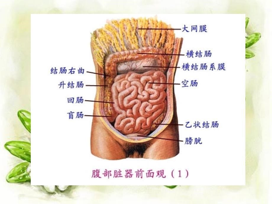 小肠穿孔的护理查房.ppt_第5页