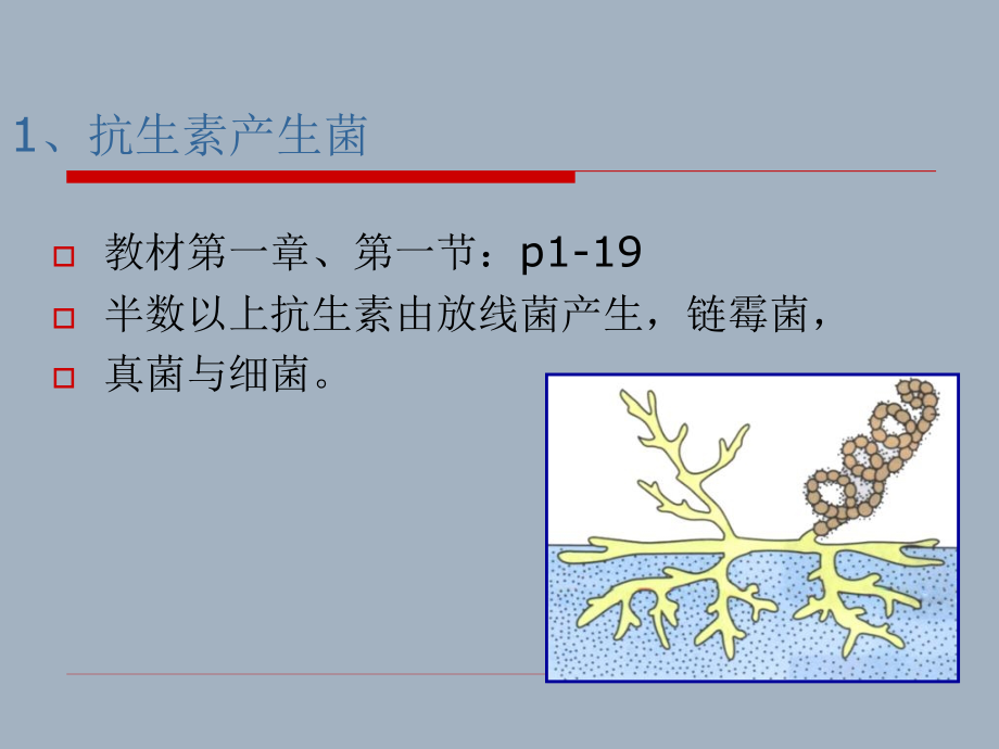 d12抗生素产生菌的菌种筛选及优化202_第2页