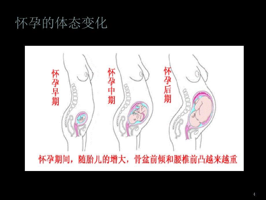 产后形体恢复指南PPT精选文档_第4页