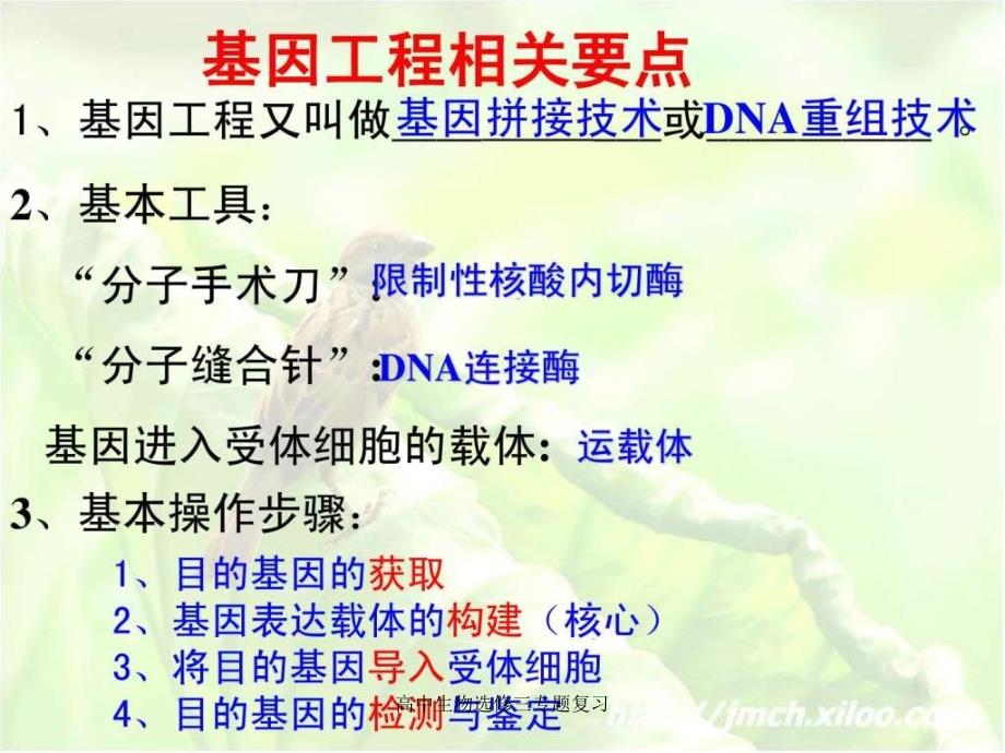 高中生物选修三专题复习课件_第2页