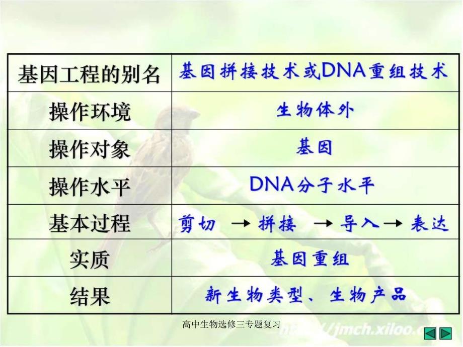 高中生物选修三专题复习课件_第3页