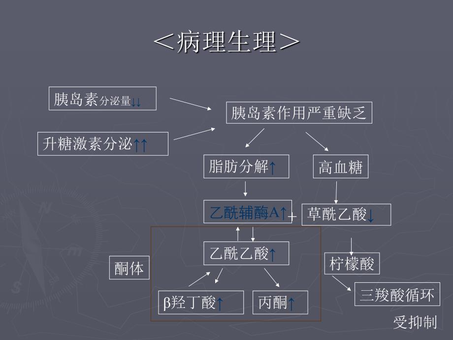 糖尿病酮症酸中毒PPT_第3页